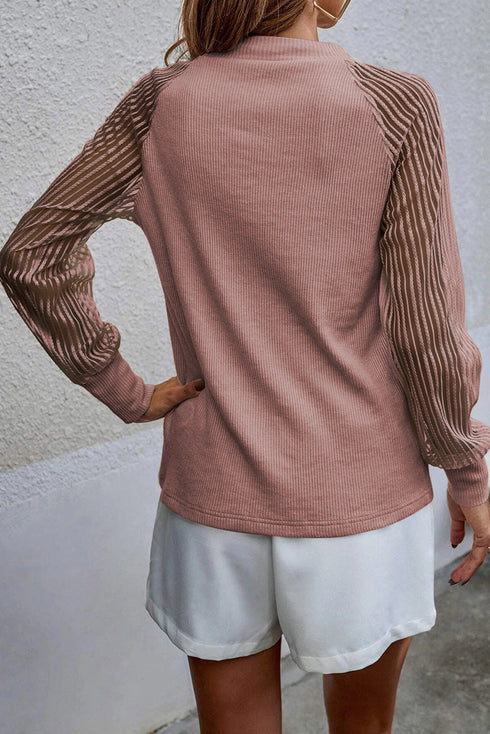 Striped Sheer Ribbed Mesh Long Sleeve Crew Neck Top